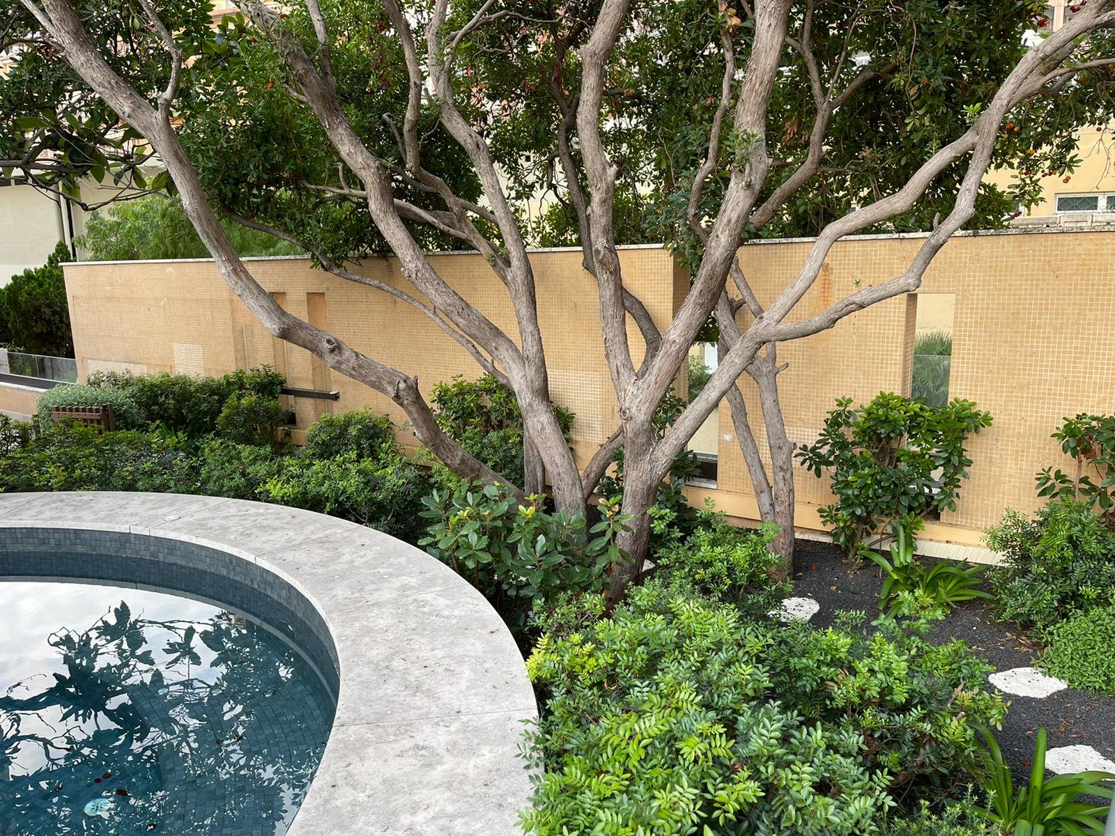 plante artificielle haut de gamme dans un salon moderne avec finitions réalistes