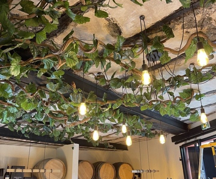 Plafond décoré de plantes et lumières.