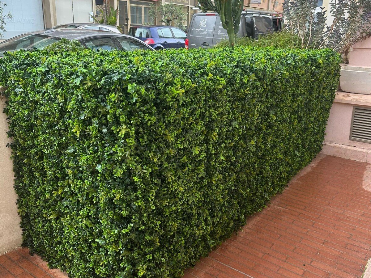 Copropriété, Monaco