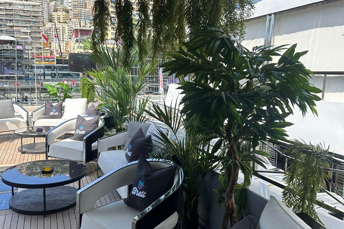 Entretien plantes artificielles